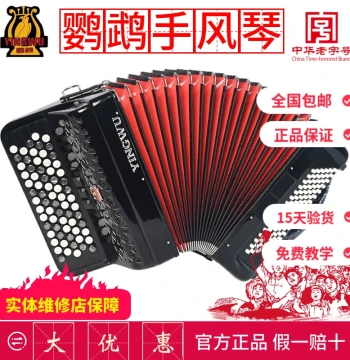 Yingwu Button Accordion 8/12/60/96 Bass, Authentic Instrument for Beginners, Exams, and Professional Performance