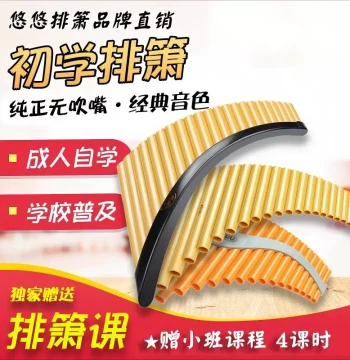 Youyou 22-Pipe G-Key ABS Resin Pan Flute for Beginners - Practice Instrument for School Music Classes and Therapy