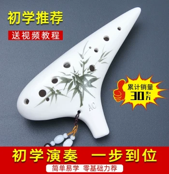 12-Hole Ocarina for Beginners, Alto C Key, Professional AC Resin Ocarina for Elementary Students and Children
