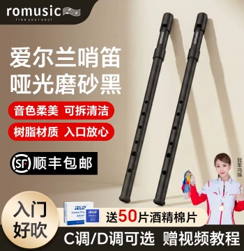 romusic Irish Tin Whistle Resin Key C/D Soprano 6-Hole Flute for Kids and Beginners