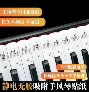Electrostatic Keyboard Stickers for Accordion - 8, 60, 96, 120 Bass, Beginner Notation & Staff Notes