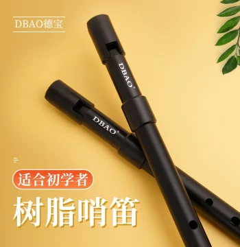 DBAO Irish Tin Whistle in C and D - ABS Resin Six-Hole Fipple Flute for Beginners and Students