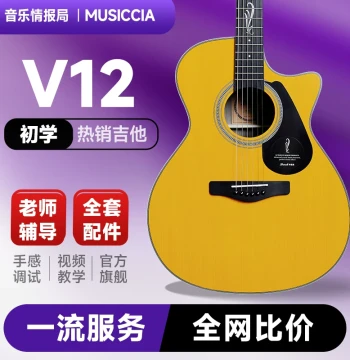 [Guitar Recommendation] Brook V12/S25 Solid Top Acoustic Guitar for Beginners, Available Now for Men and Women