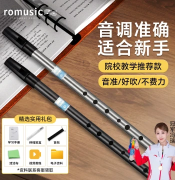 romusic Irish Tin Whistle in Key of C and D, High-Pitch 6-Hole Vertical Flute for Elementary Students and Beginners