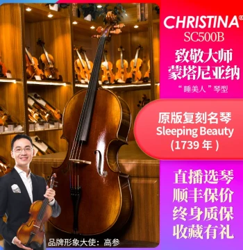 CHRISTINA Sleeping Beauty Cello SC500-B - European Imported Wood, Professional Performance Grade for Exams
