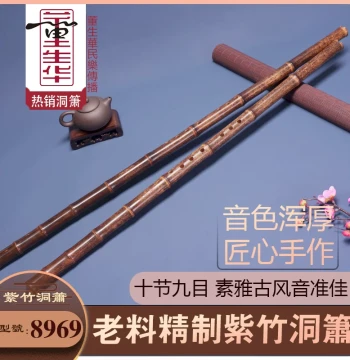 Dong Shenghua Professional Xiao Flute for Beginners - 8-Hole G Key, 10-Section 9-Eye Bamboo Instrument for Students