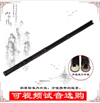 Mr. Guanzi Professional Purple Bamboo Short Xiao Flute - 6 or 8 Holes, Miniature Size for Beginners, G/F Key