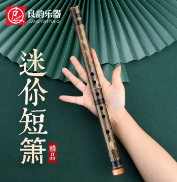 Premium Beginner Xiao Flute, Portable Bitter Bamboo Short Xiao, Mini Ancient Style Six-Hole F Key Instrument for Novices