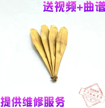 Free Shipping Sichuan Liangshan Yi Ethnic Jaw Harp – Brass 3-Leaf or 4-Leaf Kou Xian, Same as Mo Xi Zi Shi's Model