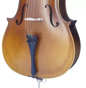 Selected Tongling Quality Student Cello - Matte Finish Plywood Cello for Beginners