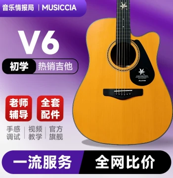 [Beginner Recommended] Brook V6 Folk Guitar for Men and Women - In Stock