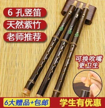 Purple Bamboo Six-Hole F-Tone German-Style Soprano Recorder for Beginners with Extra Mouthpiece