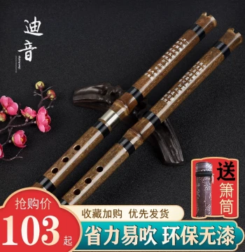 Diyin Professional High-End Purple Bamboo Xiao Flute for Beginners, G/F Key, 6/8 Holes, 1-3 Sections, Traditional Chinese Instrument