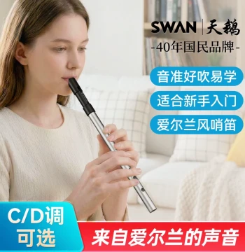 Metal Irish Tin Whistle in D/C Key, Swan Professional Grade Six-Hole Recorder with Resin Mouthpiece for Beginners