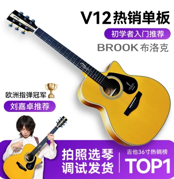 Brook V12 Solid Top Acoustic Guitar from Official Flagship Store, Authentic Folk Guitar for Male Beginners