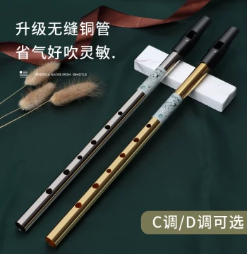 USA NAOMI Irish Tin Whistle for Beginners, Six-Hole Soprano Recorder in C/D Key