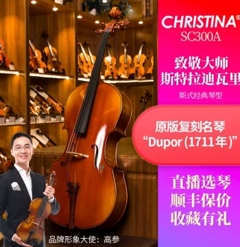 Christina SC300-A Imported European Wood Adult Handcrafted Solid Wood Professional Performance Grade Cello for Exams