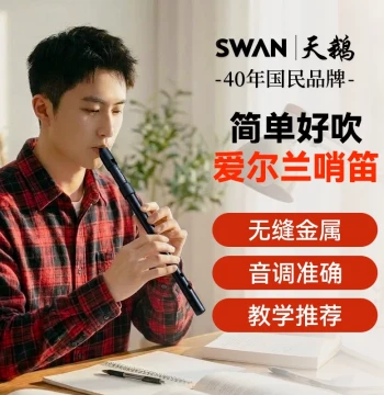 Swan Metal Irish Tin Whistle in D or C Key, Professional Grade 6-Hole Vertical Flute with Resin Mouthpiece for Beginners