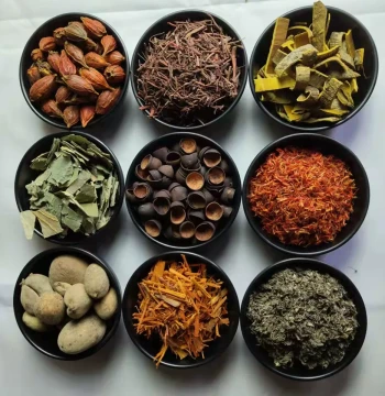 Hanran Herbal Natural Plant Dyes for Tie-Dye DIY, Includes Video Tutorial and Color Chart