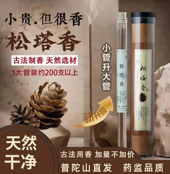 Putuo Direct Natural Pine Cone Incense - Traditional Home Use for Magnetic Field Purification and Indoor Cleansing (Flagship Store)