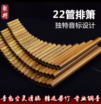 Bitter Bamboo Panpipe Instrument, C Key Professional 22-Tube, Beginner Children F Key, Adult G Key, Performance Student Pan Flute, Vertical Blow