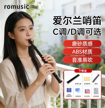 romusic Irish Tin Whistle, Resin Beginner Metal Flute, 6-Hole C/D Key, High/Low Pitch Straight Recorder