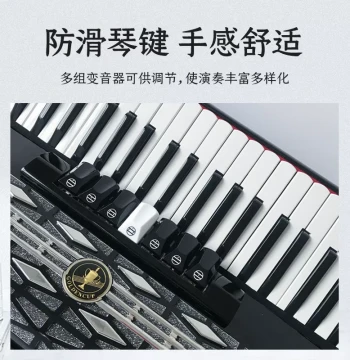 Jinbei Brand Accordion 8/60/96/120 Bass, Professional Beginner Accordion 120 Bass Echo Organ