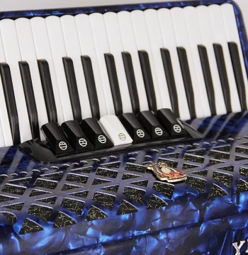 Tianjin Old Parrot Bayan Accordion, 8/32/48/60/96/120 Bass Accordion with 41 Keys and Four Rows of Reeds