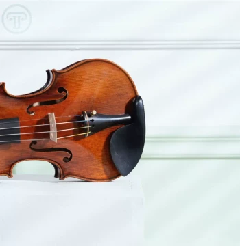 [Entry-Level] G Violin Custom Handcrafted Premium Instrument, Antique Style High-End