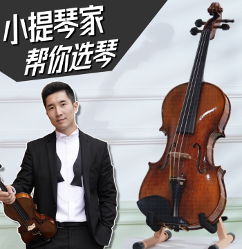 [Entry-Level] Custom Handmade Violin, Premium Antique-Style High-End Instrument with Black and White Lines