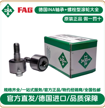 ZL205-DRS Bolt-Type Roller, ZL205NPDU Original German Roller Bearing, ina Bearing