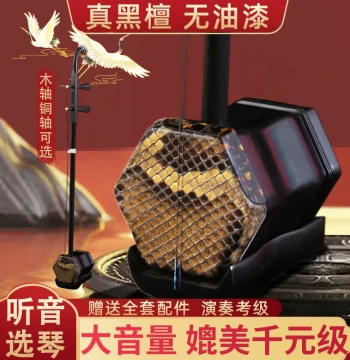 Suzhou Black Ebony Erhu, Factory Direct Genuine Entry-Level Professional Performance Exam Grade with Copper Pegs, High Volume Rosewood