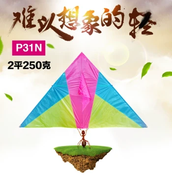 Zhui Feng Zhe Kite P31 Light Body & P31N Large Triangle - Free Nationwide Shipping