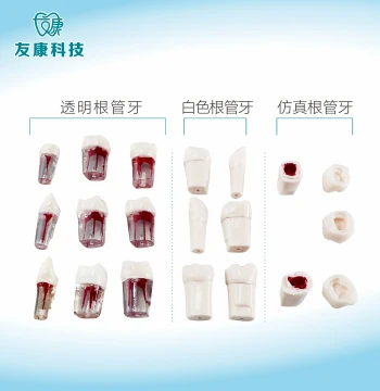 Smile Academy Exclusive Link for Teacher Shiliu – Order Directly, No Price Adjustment Needed