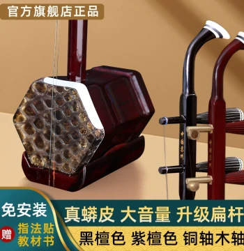 Suzhou High-Volume Erhu, Authentic Instrument for Beginners and Performers, Direct from Manufacturer, Suitable for Children and Seniors