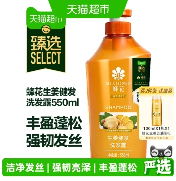 Ginger Shampoo Silicone-Free Oil Control 550ml