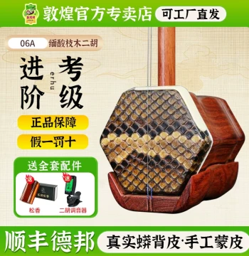 Dunhuang Erhu 03A/04A/05A/06A/07A Grading Performance Beginner Erhu [Dunhuang Official Store]