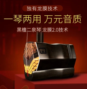 Wenshao Suzhou Erhu Instrument Factory Direct Sales, Erquan Erhu, Black Ebony Erhu for Adult Professional Performance