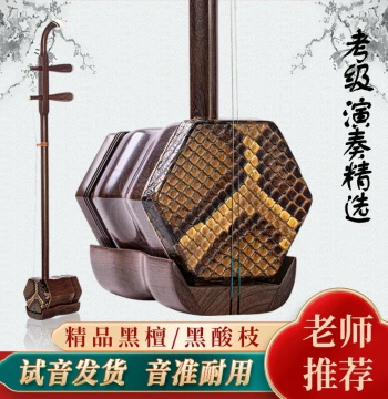Suzhou Ebony and Black Rosewood Erhu - Factory Direct Professional Instrument for Beginners and Performers