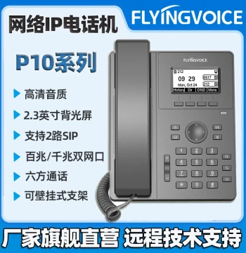 Feiyin Era IP Network Phone - SIP Desk Phone for LAN/IPPBX, Model P10, Supports 2 SIP Lines, Dual 100M Ports