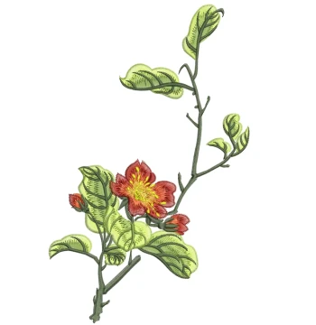 Qipao Peony Embroidery Pattern Drafting Tape