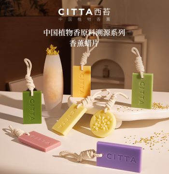 CITTA Scented Wax Tablets for Wardrobes, Home Indoor Fragrance Hangings, Gift for Clothes, Long-Lasting Fresh Scent