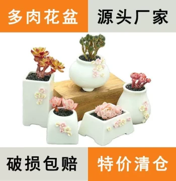 Fleshy Flower Pot Ceramic Combination Set Small Fresh Fleshy