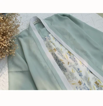 Song Dynasty Hanfu Beizi Sage Green Gray-White Straight-Sleeve with Pearl Sleeves