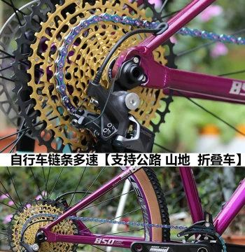 Bicycle Chain Multi-Speed Iridescent Finish