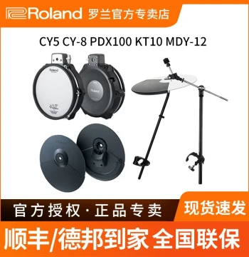Roland Electronic Drum Kit: CY5, CY8 Cymbals, PDX100 Pad, KT10 Kick, MDY12 Stand, TM6 Sound Module