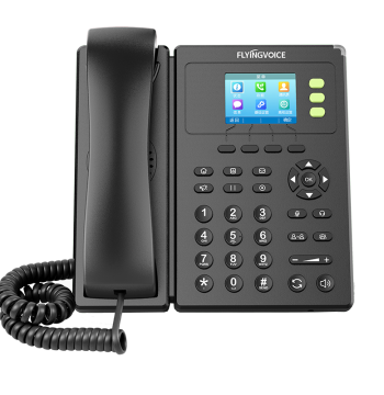 FLYINGVOICE Color Screen Wireless IP Phone, Corporate Network SIP Phone, IP Business Office Desk Phone, WiFi LAN Telephone