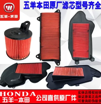 Air Filter for Wuyang Honda NX125LA, Liexing EX125, NS125, NCR, Xisha, Ruiyu, Jiayu, Youku, Yazhi