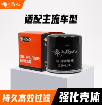 Zuishang Mali Engine Filter ZS Motorcycle External Oil Filter