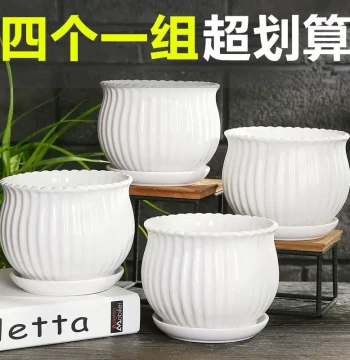 New Ceramic Flower Pot - Clearance Sale, Home Use with Tray for Phalaenopsis Orchids, Minimalist White Green Plant Hanging Pot